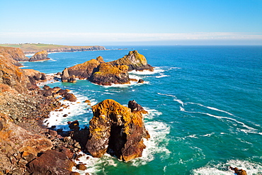 Kynance Cove, Lizard, Cornwall, England, United Kingdom, Europe