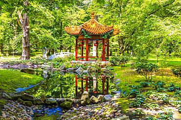 Japanese Garden, Lazienki Park, Warsaw, Poland, Europe