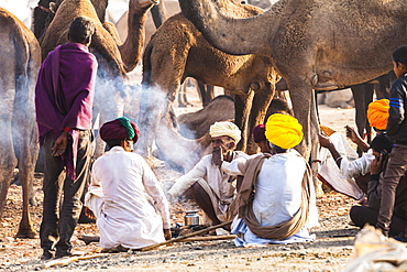 Camel herders at the Pushkar Camel Fair, Pushkar, Rajasthan, India, Asia