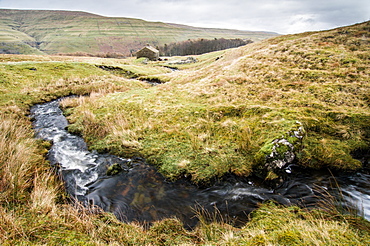 Stream and cottage, above Buckden, Wharfedale, Yorkshire Dales, Yorkshire, England, United Kingdom, Europe