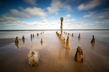 Spurn Point, Spurn Head, Groynes, Yorkshire, England, United Kingdom, Europe