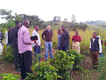 Chole Co-operative fields, Malawi, Africa