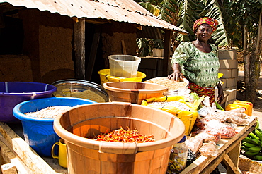 Naomi Mamman, chairman of Chena Bikun Women Farmers Co-operative, Madakiya, Nigeria, West Africa, Africa