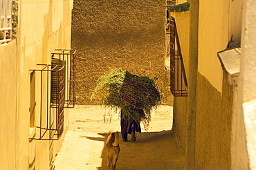 Man carrying heavy load through the backstreets of Meknes, Morocco, North Africa, Africa