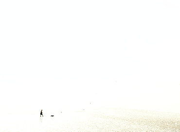 Woman walking a dog at low tide on a misty beach, United Kingdom, Europe