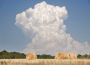 Billowing cloud over a wheat field, France, Europe