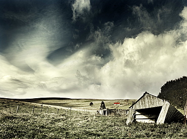 On the Glenfiddich Estate, Scotland, United Kingdom, Europe