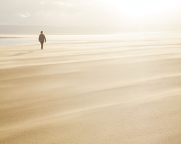 Man walking across a windy beach with dry shifting sands creating a cloud underfoot, West Kirkby, Wirral, England, United Kingdom, Europe