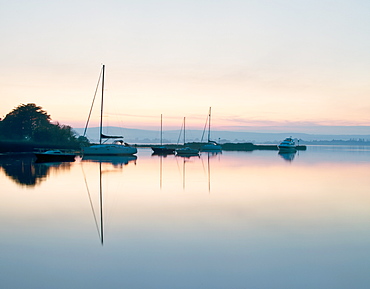 Yachts moored on Lough Derg in the early morning, River Shannon, Portumna, Co Galway, Republic of Ireland, Europe