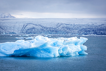 Icebergs floating in Glacier Lagoon beneath Breidamerkurjokull glacier, Jokulsarlon, Vatnajokull, Iceland, Polar Regions