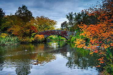 Central Park, New York City, United States of America, North America