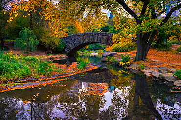 Central Park, New York City, United States of America, North America