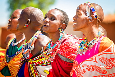 Masai women singing and dancing, Masai Mara, Kenya, East Africa, Africa