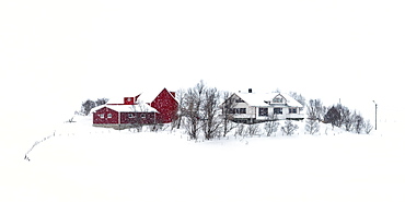 Lofoten village on a snowy winter's day, Lofoten, Nordland, Arctic, Norway, Europe