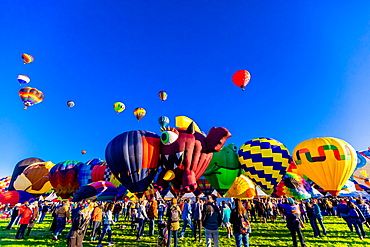 Mass ascension at the Fiesta Hot Air Balloon Festival, Albuquerque, New Mexico, United States of America, North America