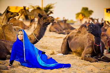 Girl with camels at the Pushkar Camel Fair, Pushkar, Rajasthan, India, Asia