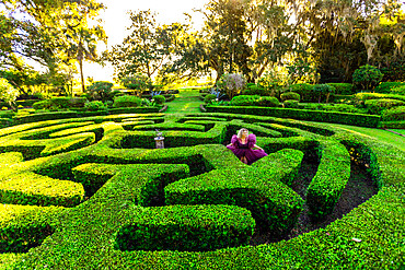 The maze gardens at Musgrove Plantation venue