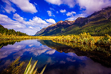 Lake in Milford Sound, Fjordlands National Park, UNESCO World Heritage Site, South Island, New Zealand, Pacific