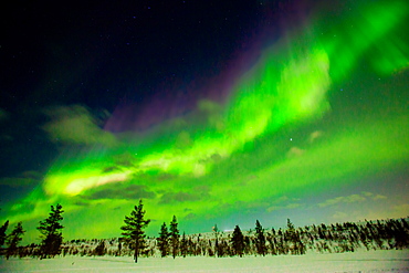 Aurora Borealis (the Northern Lights) over Kakslauttanen Igloo West Village, Saariselka, Finland, Scandinavia, Europe