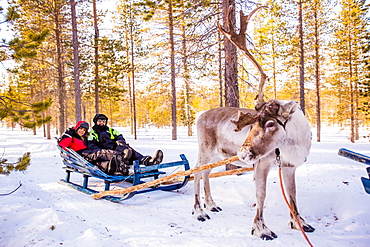 Couple on Reindeer Safari, Kakslauttanen Igloo Village, Saariselka, Finland, Scandinavia, Europe