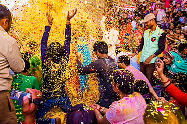 Crowd throwing flower petals during the Flower Holi Festival, Vrindavan, Uttar Pradesh, India, Asia