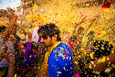 Crowd throwing flower petals during the Flower Holi Festival, Vrindavan, Uttar Pradesh, India, Asia