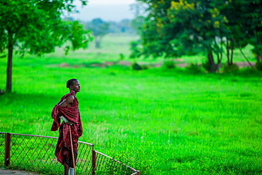 Maasai warrior stands guard, Mizumi Safari Park, Tanzania, East Africa, Africa