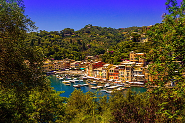 The Italian fishing village of Portofino, Liguria, Italy, Europe