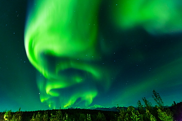 Aura Borealis (Northern lights) in Denali Wilderness National Park, Alaska, United States of America, North America