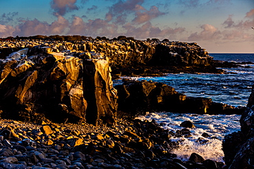 Cliffs of Espanola Island, Galapagos Islands, UNESCO World Heritage Site, Ecuador, South America