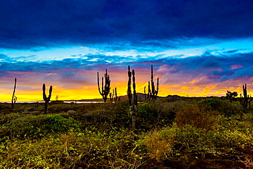 Sunset on Isabella Island, Galapagos Islands, Ecuador, South America