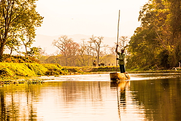 Nepalese gondolier in Chitwan National Forest, Nepal, Asia