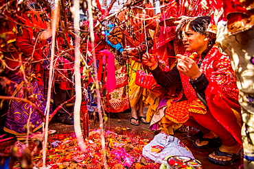 Woman praying at the Holi Festival, Durbar Square, Kathmandu, Nepal, Asia