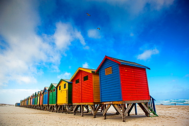 Colorful beach shacks, Muizenberg Beach, Cape Town, South Africa, Africa