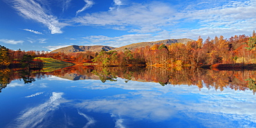 Autumn colour reflected in the still waters of Tarn Hows in the Lake District National Park, Cumbria, England, United Kingdom, Europe