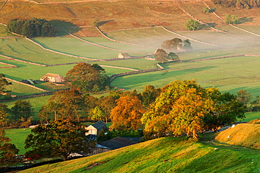 A thin veil of mist lies among the autumn coloured trees and dry stone walls in the Littondale valley, Yorkshire Dales, Yorkshire, England, United Kingdom, Europe