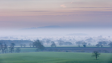 A pastel spring dawn morning with mist lying in the Cheshire plain extending to the Peckforton Hills and Beeston Castle, Cheshire, England, United Kingdom, Europe