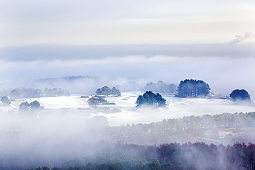 Winter fog clearing to reveal frost and snow across the Delamere forest landscape, Cheshire, England, United Kingdom, Europe