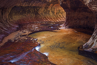 The Subway, Zion National Park, Utah, United States of America, North America