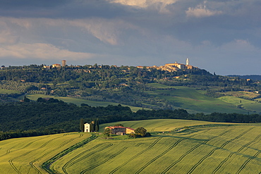 Looking across the Val d'Orcia and Chapel of Madonna di Vitaleta with the late evening sun illuminating the town of Pienza, UNESCO World Heritage Site, Tuscany, Italy, Europe