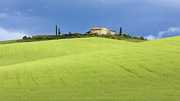 A single Tuscan farmhouse perched on top of a hill beyond verdant rolling green fields of the Val d'Orcia, UNESCO World Heritage Site, Tuscany, Italy, Europe