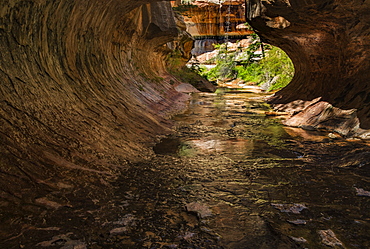 Exiting the Subway Zion National Park, Utah, United States of America, North America