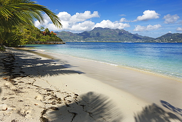 Palm trees providing shade along a deserted sandy beach in the Seychelles, Indian Ocean, Africa