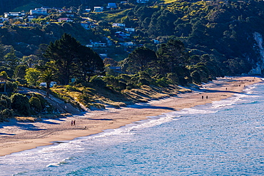 Hahei beach on the eastern side of the Coromandel Peninsula bathed in late afternoon light, Waikato, North Island, New Zealand, Pacific