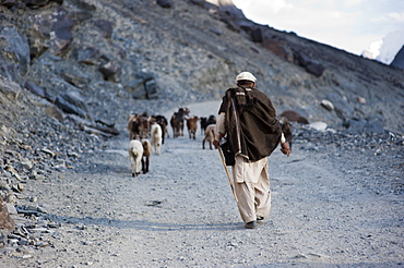 A shepherd near Gilgit, Pakistan, Asia