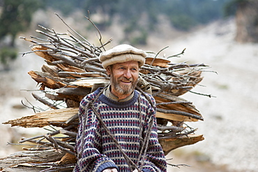 Collecting firewood, North West Frontier Province, Pakistan, Asia