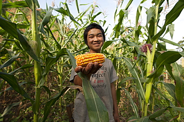 A boy holds up a cob of corn, among the corn plants in Mongar District, Bhutan, Asia