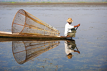 A basket fisherman on Inle Lake scans the still and shallow water for signs of life, Shan State, Myanmar (Burma), Asia