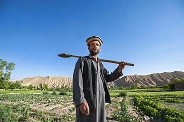 A farmer in the Bamiyan valley, Afghanistan, Asia