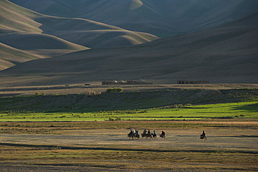 Donkeys are the main source of transport in rural Bamiyan province, Afghanistan, Asia